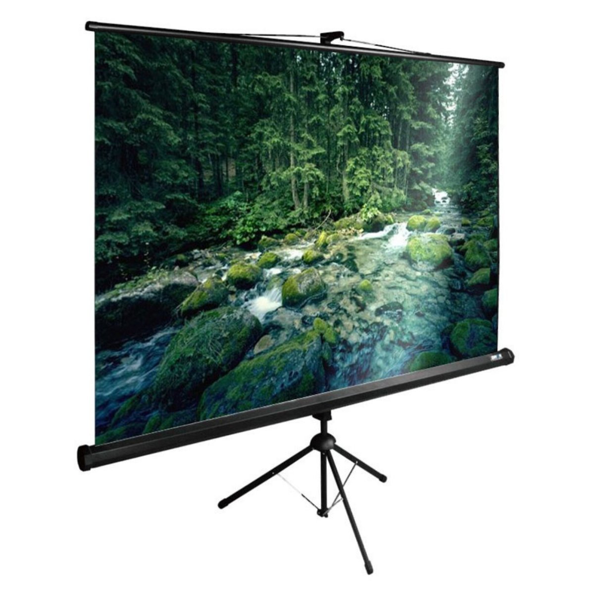 Изображение товара Экран Cactus 165x220см TriExpert CS-PSTE-220x165-BK рулонный напольный черный