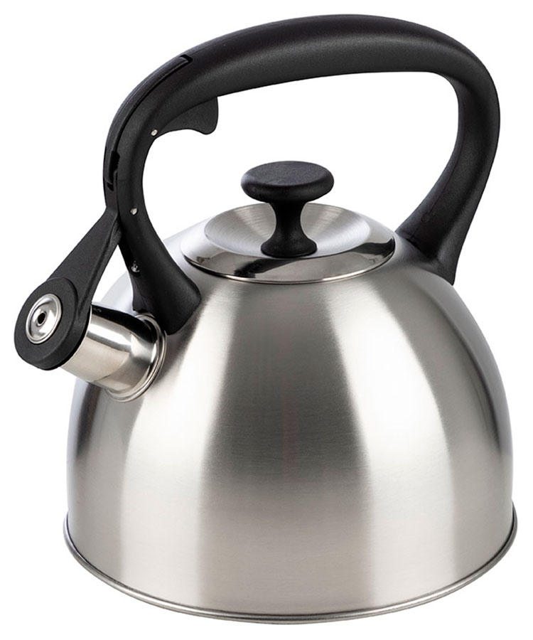 Изображение товара Чайник для плиты Mallony POESIA, 2.5 л, из нержавеющей стали, матовый (985617)