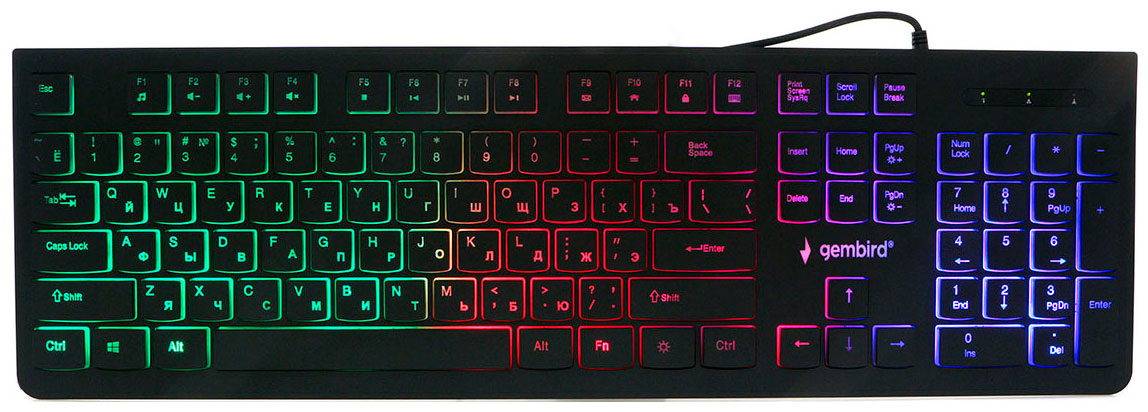 Клавиатура с подсветкой Gembird KB-250L клавиатура gembird kb 220l с подстветкой usb черный 104 клавиши подсветка rainbow кабель 1 5м