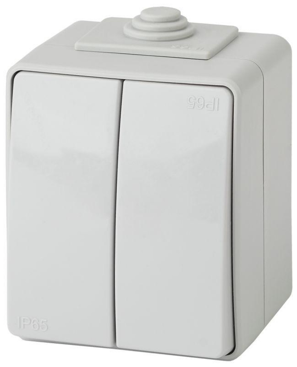 Изображение товара Выключатели, переключатели, диммеры ЭРА Выключатель 2-кл. ОП Эксперт 10А IP65 11-1604-03 250В 10AX (10/100/1600) сер.