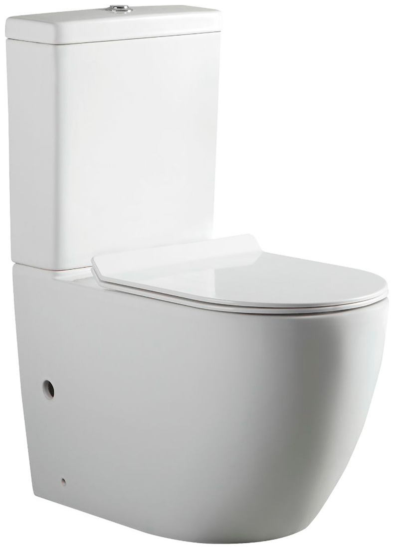 

Чаша напольного унитаза Aquanet Rimless Cetus-C1 BL-102N-TPT белый