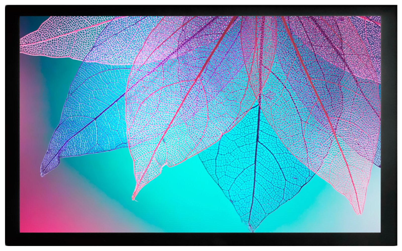 Изображение товара Настенный натяжной экран Cactus CS-PSFRE 220x124 см 16:9 серьезное качество