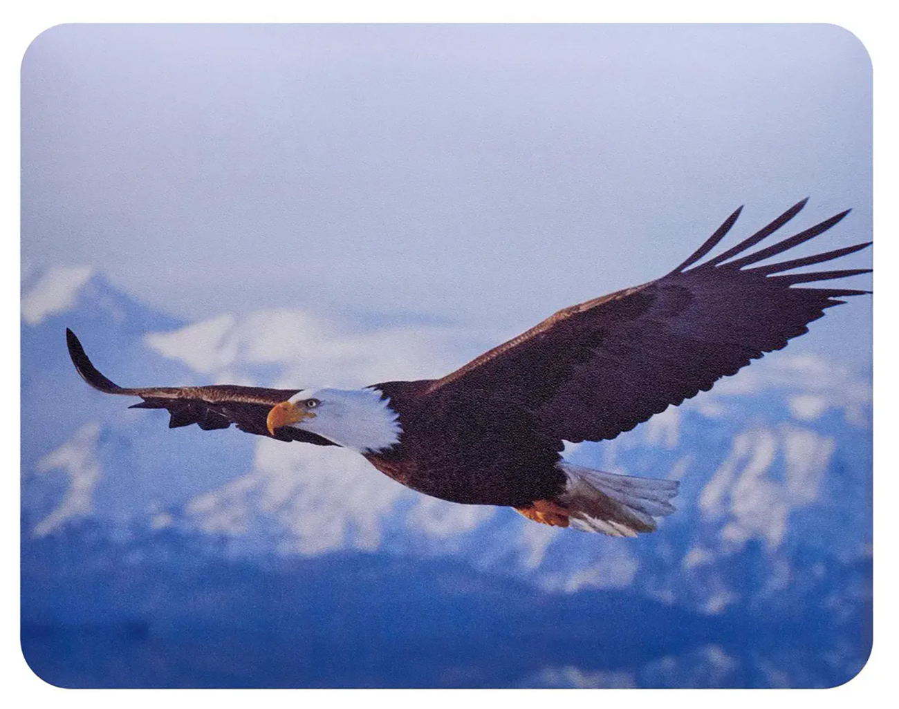 Изображение товара Коврик для мышек Buro BU-M40005 Мини рисунок орёл 230x180 мм