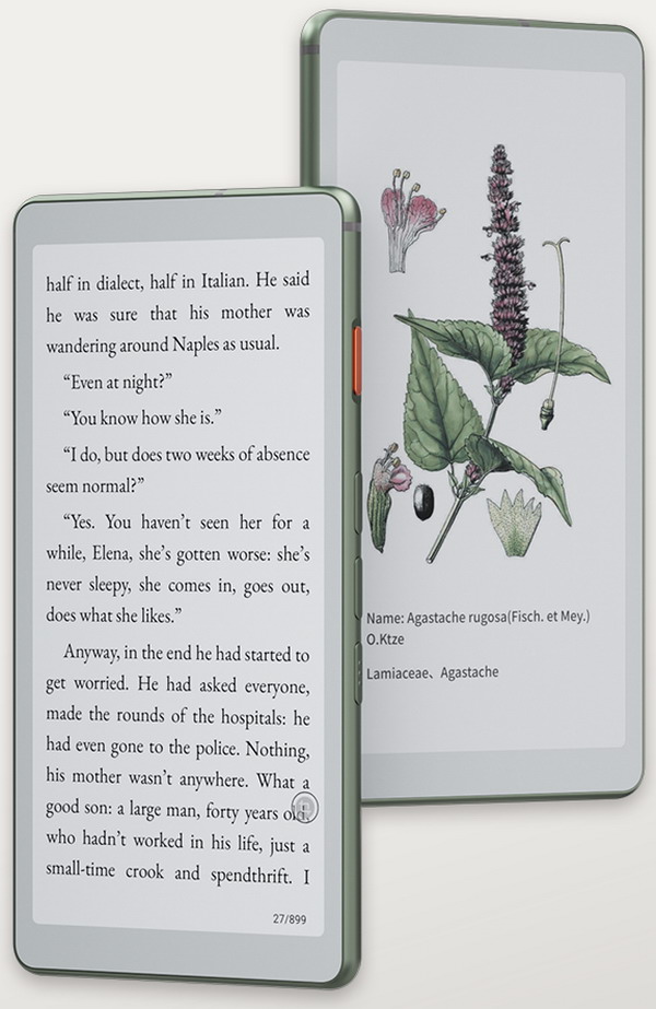 

Электронная книга с имитацией бумаги Viwoods AiPaper SE08C, цветной дисплей 6.13-inch, Белый