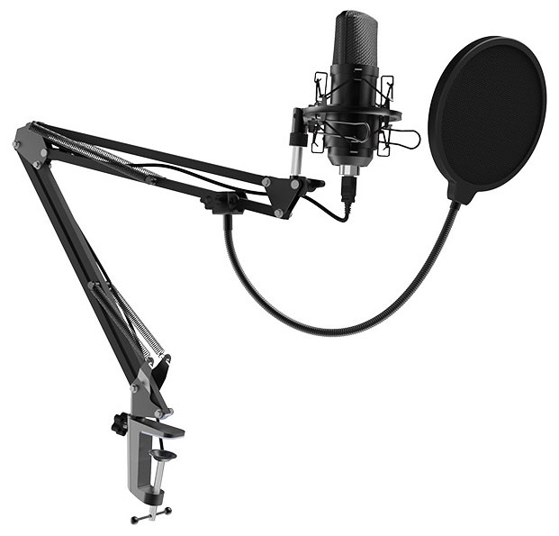 Изображение товара Студийный микрофон Ritmix RDM-169 Black USB конденсаторный