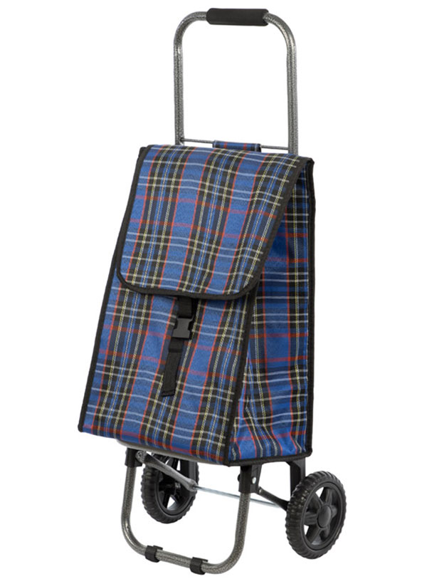 Изображение товара Тележка с термосумкой Рыжий кот Isoterma 25 кг D203 для перевозки продуктов и грузов