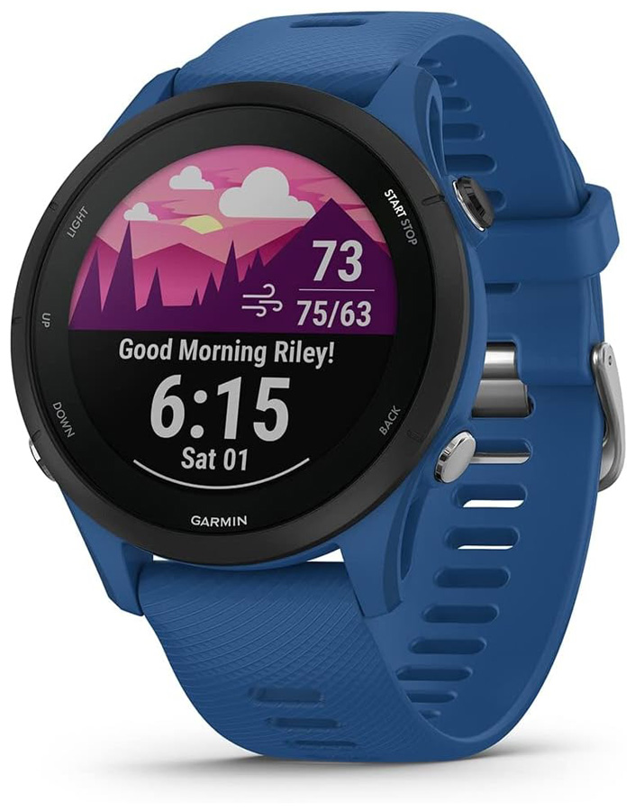 Изображение товара Спортивные часы Garmin Forerunner 255 Tidal Blue (010-02641-11)