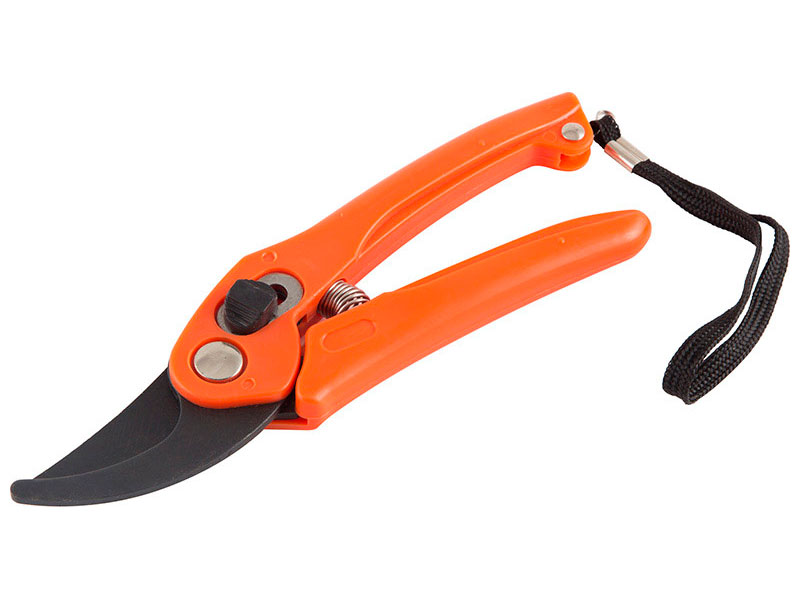 

Секатор Park HG0005, диаметр среза 10 мм (270101)