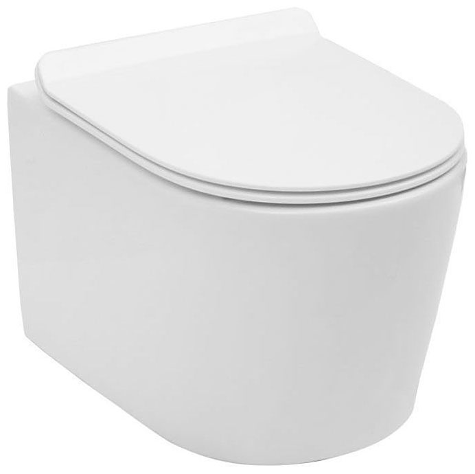 

Унитаз Aquanet Rimless Cetus-W BL-102N-WHT белый (CETUS-W)