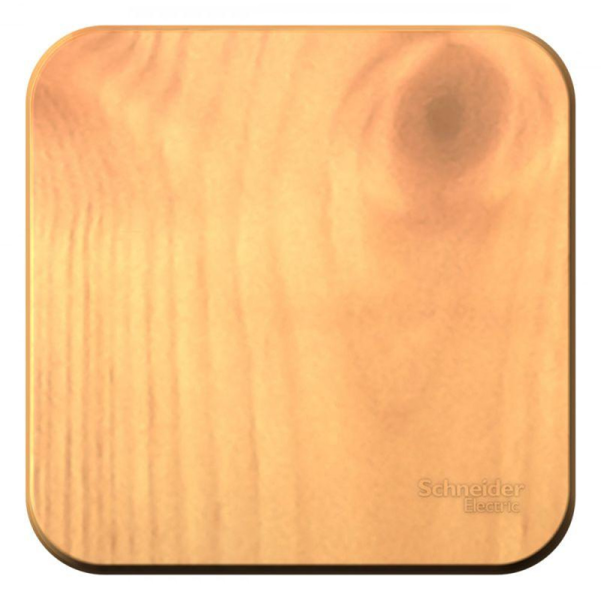 Изображение товара Выключатель 1-кл. Blanca 10А IP20 для открытой установки от Systeme Electric