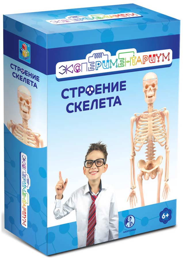 Изображение товара Научный набор Экспериментариум "Строение скелета"