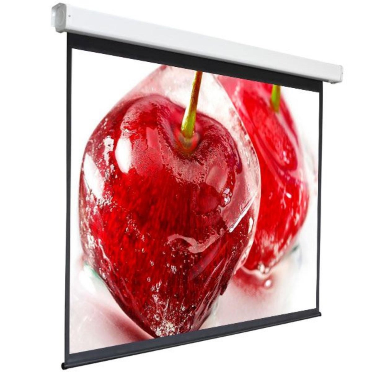 Изображение товара Экран для проектора Electra-F DSEF-4305 150 дюймов настенно-потолочный рулонный