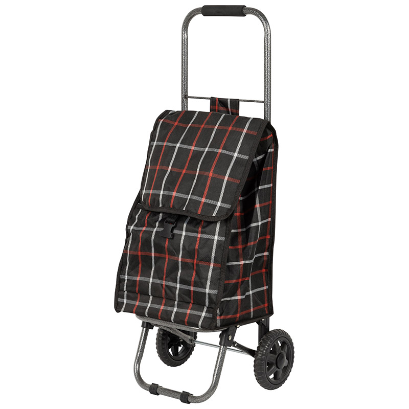 

Сумка-тележка Рыжий кот D203 ECO Brown (002251)