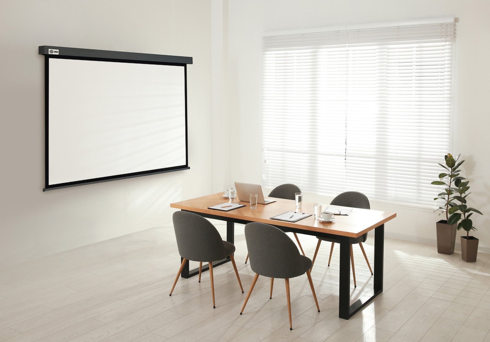 Изображение товара Экран Cactus CS-PSW-180X180-SG 180x180см настенно-потолочный рулонный серый