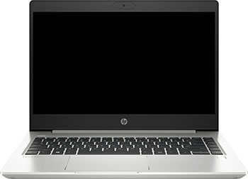 

Ноутбук HP ProBook 445 G7 4500U (7RX17AV) серебристый