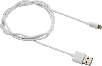 Кабель Canyon Canyon MFI CNS-MFICAB01W Lightning 1м White (Белый) кабель для apple lightning mfi sago 1м серый sg 8pin 1m sg