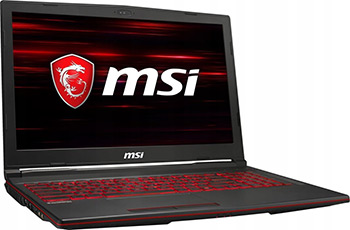 

Ноутбук MSI, GL63 8SC-210RU (9S7-16P812-210) Черный