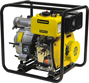 Насос Champion DTP 81 E 71590₽