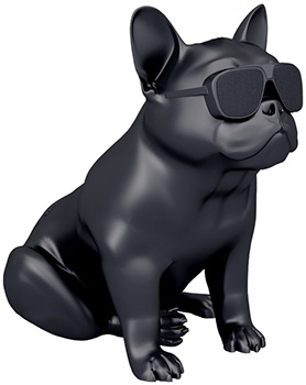 

Портативная акустика AEROSYSTEM, Aerobull HD1 Matt black