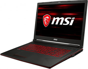 

Ноутбук MSI, GL73 9SC-032XRU (9S7-17C812-032) Черный