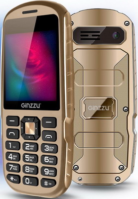

Мобильный телефон Ginzzu, R1D шампань