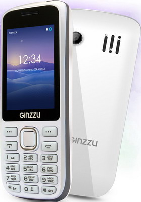 

Мобильный телефон Ginzzu, M 201 белый/серый
