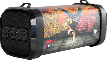 

Портативная акустика Telefunken, TF-PS1240B(print Street dance)