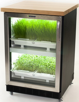 Автоматический гроубокс для выращивания микрозелени Urban Cultivator
