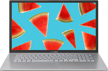 

Ноутбук ASUS, X712FA-AU686T (90NB0L61-M09620) Transparent Silver
