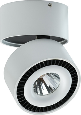 

Светильник точечный DeMarkt, Круз/Cruz 637016601 1*23 W LED 220 V