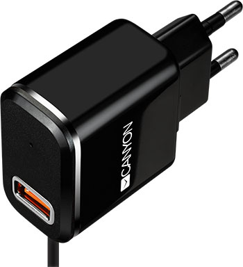 

Сетевое зарядное устройство Canyon, CNE-CHA 041 BS Черный