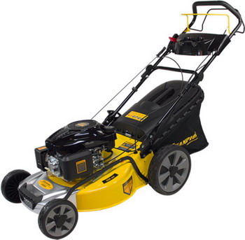 

Колесная газонокосилка Champion LM 5347, Черный/желтый