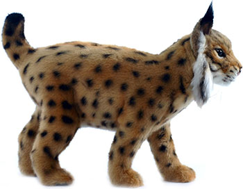 

Мягкая игрушка Hansa Creation, 4858 Испанская рысь 35 см