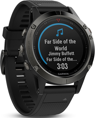 

Спортивные часы Garmin, fenix 5 Sapphire Black GPS (черный)