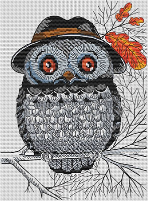 

Вышивка 14ст,16ст Белоснежка 126-14 Мистер Сова