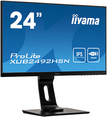 

ЖК монитор Iiyama 23.8'' ProLite XUB2492HSN-B1 черный