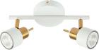 

Спот Arte Lamp A1906PL-2WH белый