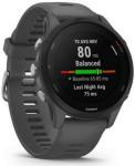 

Спортивные часы Garmin Forerunner 255 Slate Grey