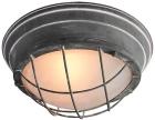 

Потолочный светильник Lussole Loft GRLSP-9881