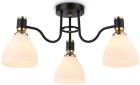 

Люстра потолочная Ambrella Light Traditional Modern TR303303