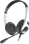 Компьютерная гарнитура A4Tech Fstyler FH100U белый/черный 2м накладные USB (FH100U PANDA)