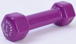 Гантель Original FitTools FT-VWB-0 ярко пурпурный 1кг гантель original fittools ft vwb 0 ярко пурпурный 1кг