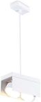 

Подвесной светильник Ambrella Light Spot GX Standard tech TN70857, Белый