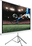 

Экран для видеопроектора на треноге Hiper 183x244см Cinema STP 4x3-120 4:3 напольный рулонный
