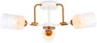 

Люстра потолочная Ambrella Light Traditional Modern TR303321
