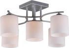 

Люстра потолочная Omnilux Pisticci (OML-55307-05), Серебро/белый