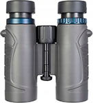 

Бинокль Levenhuk Nitro 10x32, Серый