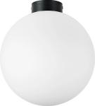 

Настенно-потолочный светильник Lightstar Globo (812037), Белый/черный