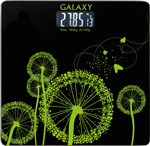 Весы напольные Galaxy GL4802
