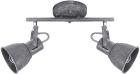 

Спот Arte Lamp A1677PL-2GY, серый